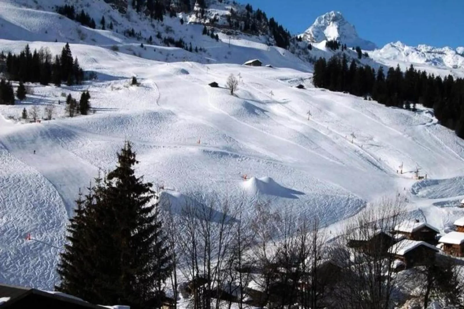 Chalet De Lessy A-Uitzicht winter
