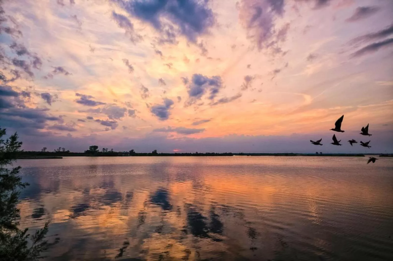 Villa Francesca-Gebieden zomer 5km