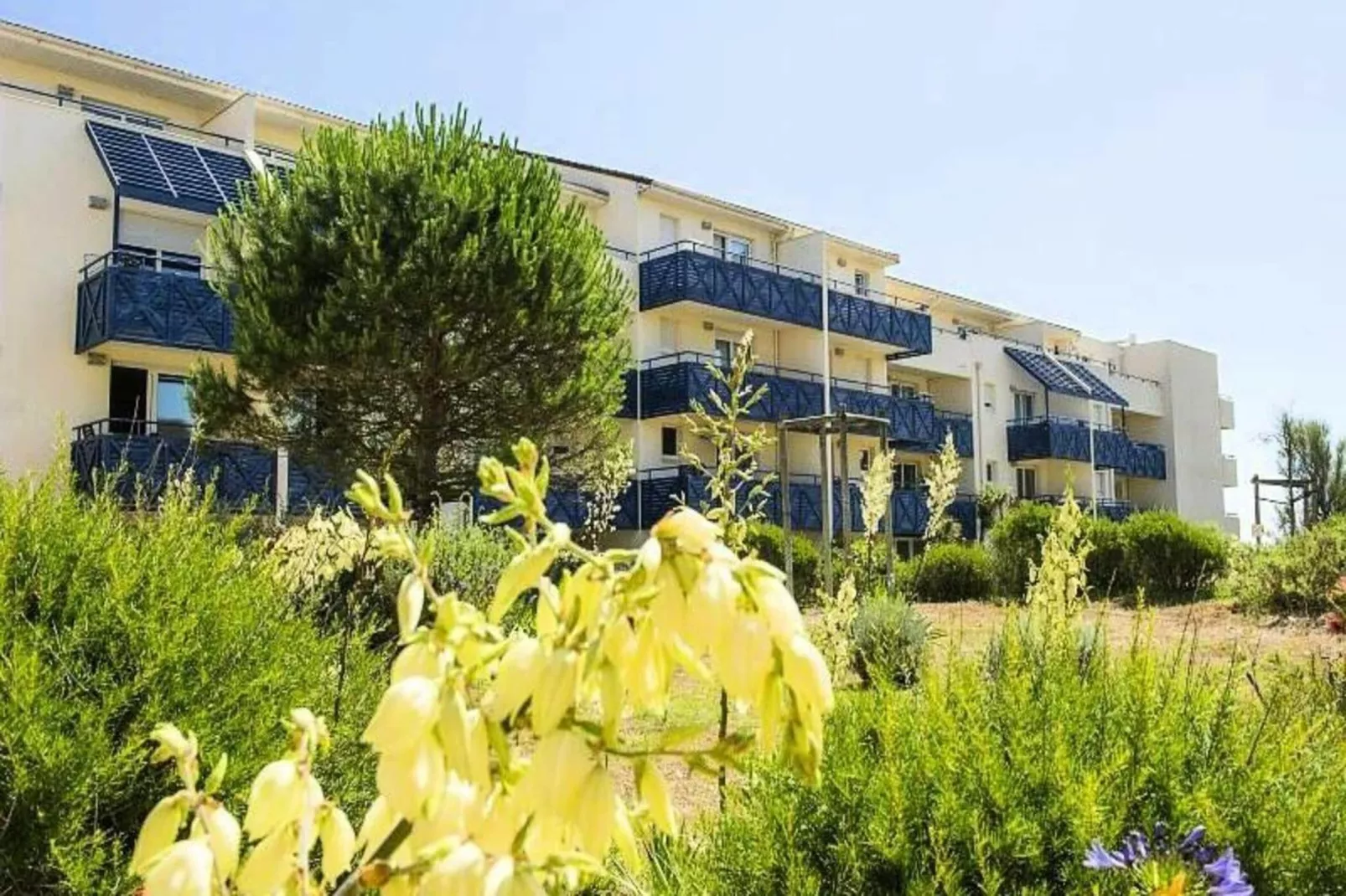 Résidence Bleu Marine - maeva Home-Buitenkant zomer