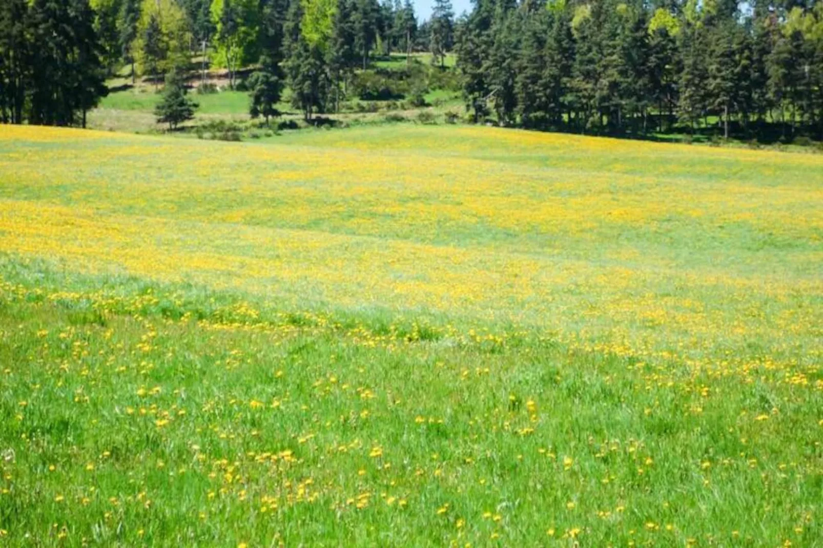 Gîte de France Gîte de lachamp 3 épis-Image-tags.