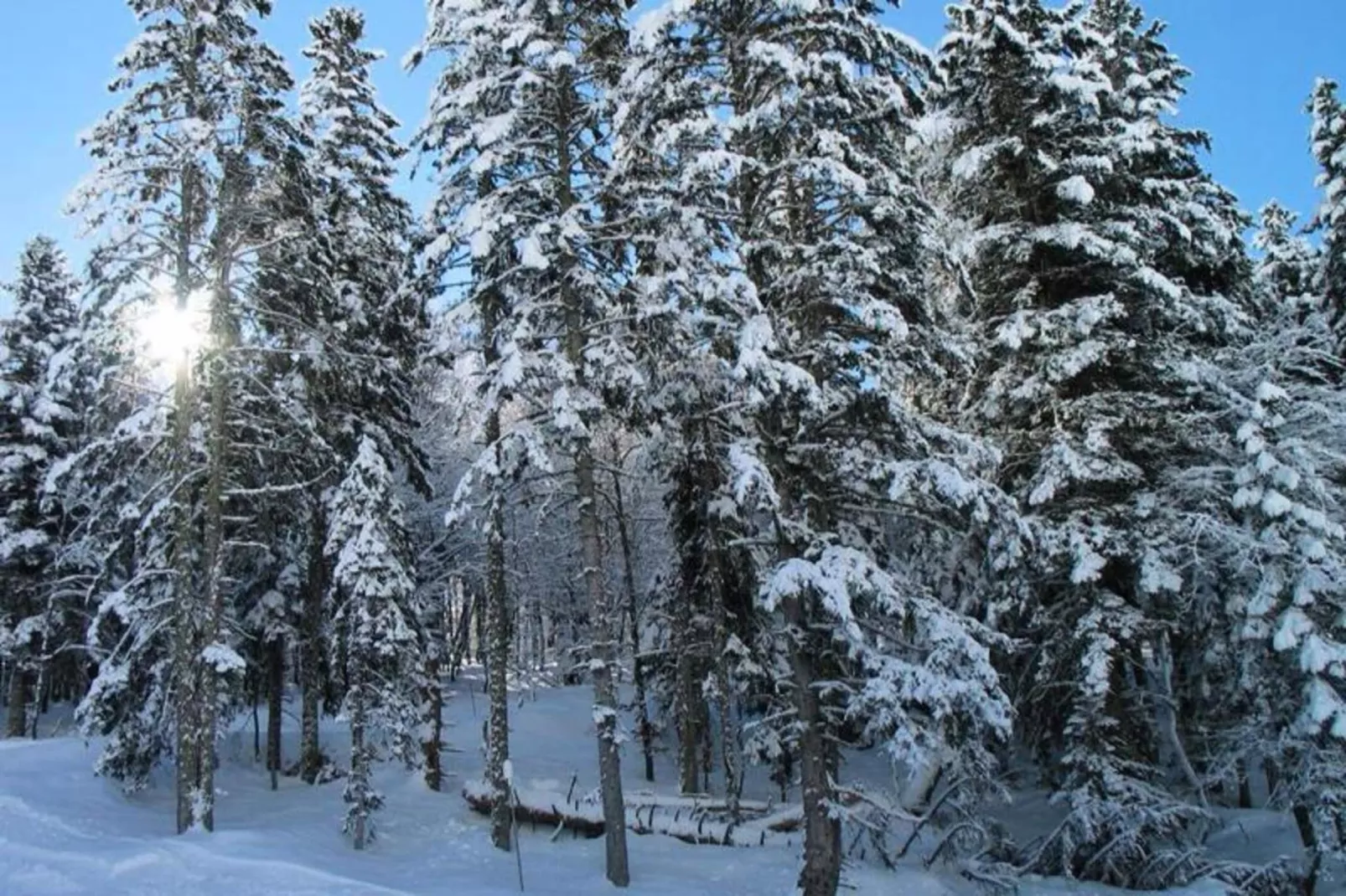 Résidence Casino-Gebied winter 20km