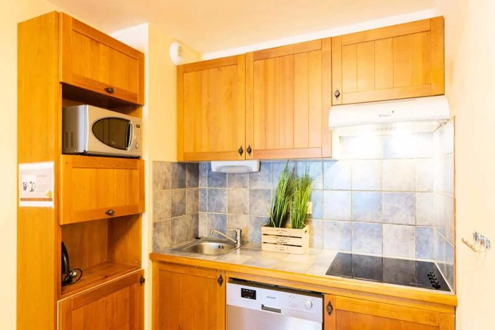 Résidence Cami Real-Keuken