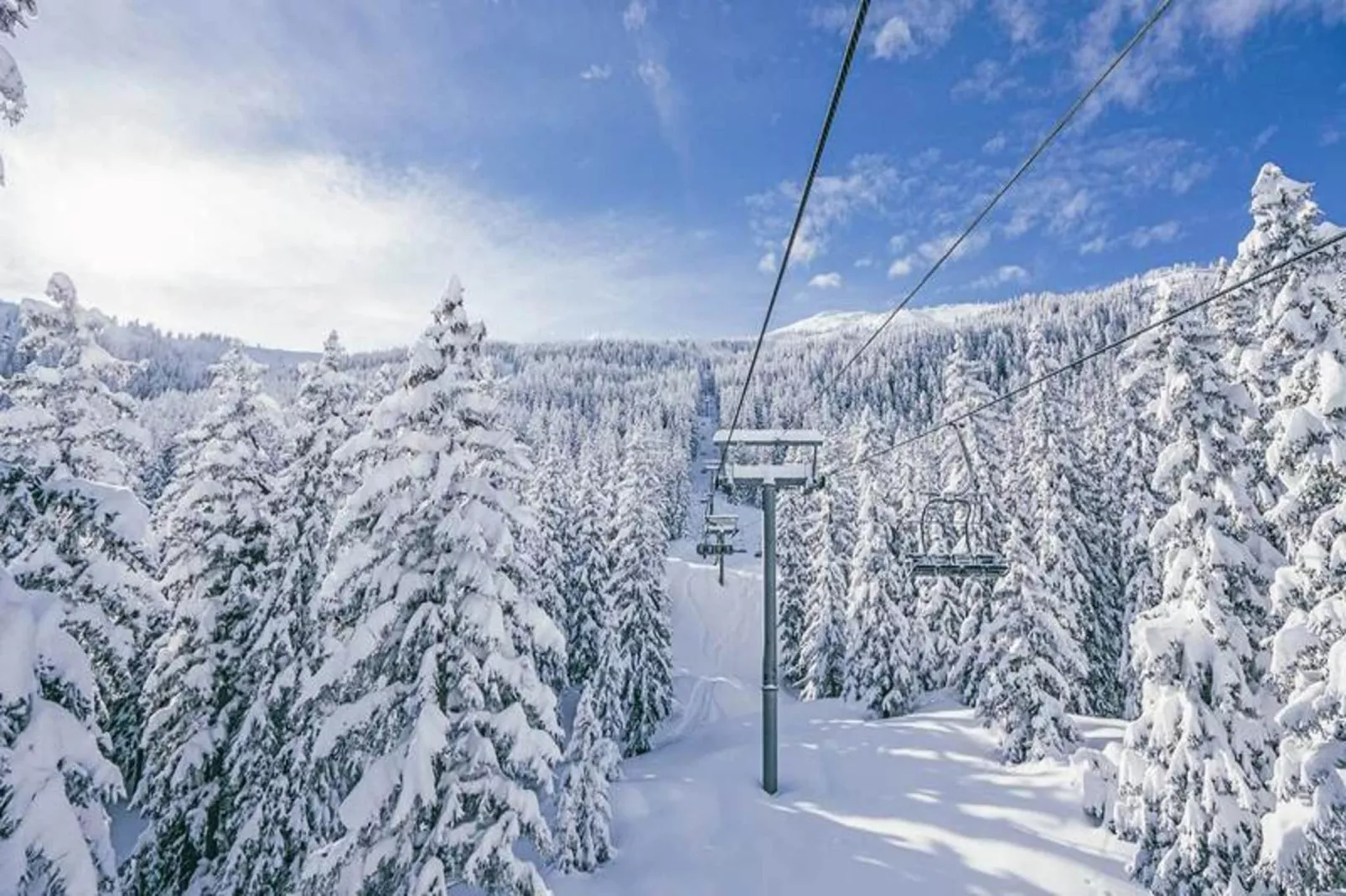 Résidence Belvedere-Gebied winter 1km