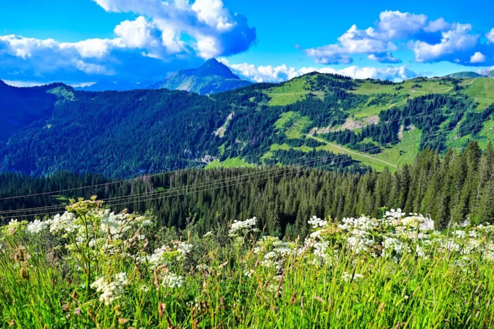 Résidence Les Alpages - maeva Home-Gebied winter 5km