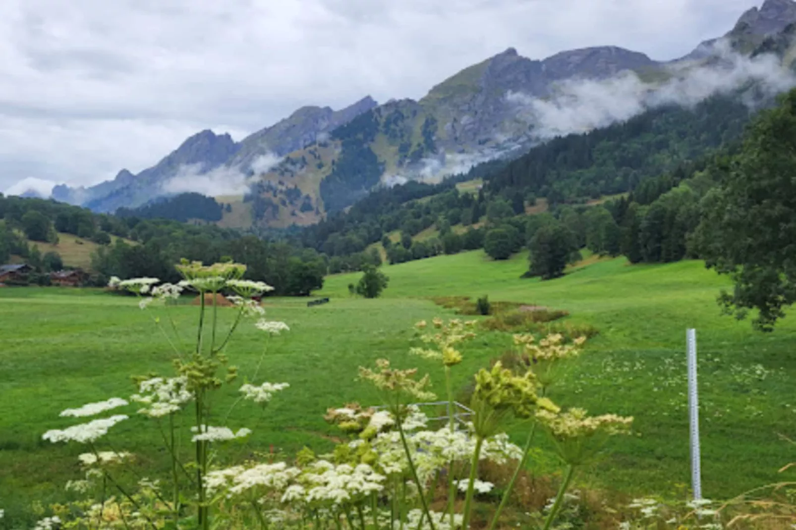 Résidence Les Cimes*****-Gebieden zomer 5km