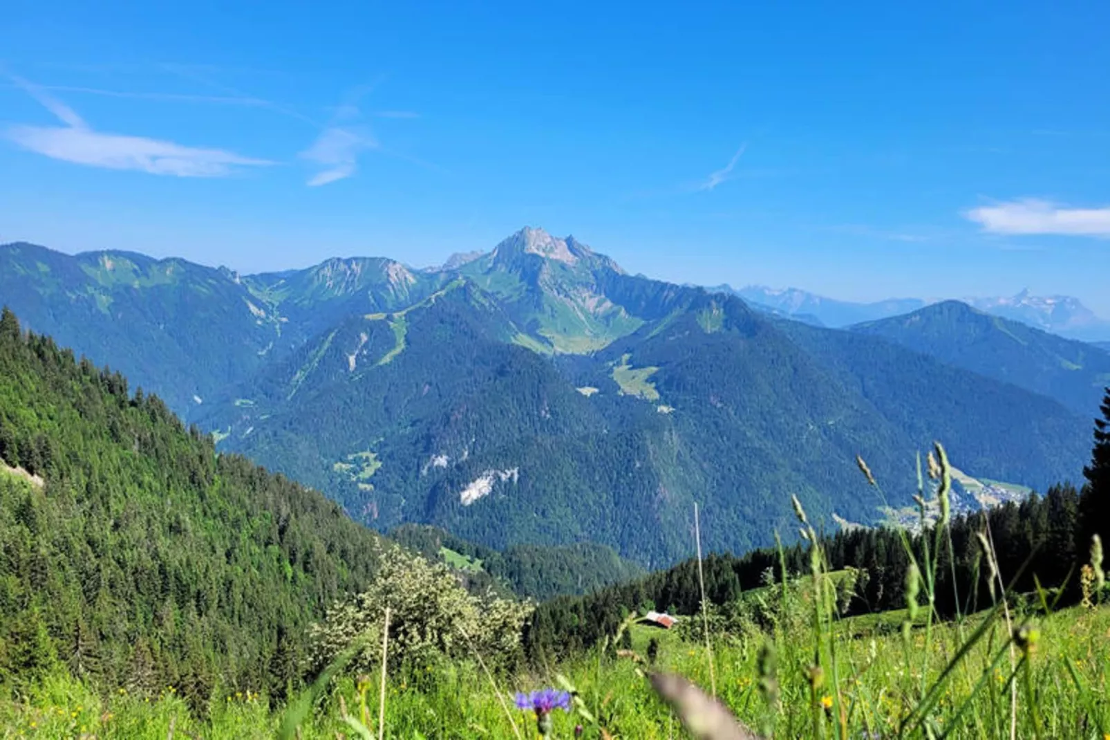 Studio à Saint Jean d'Aulps-Uitzicht zomer