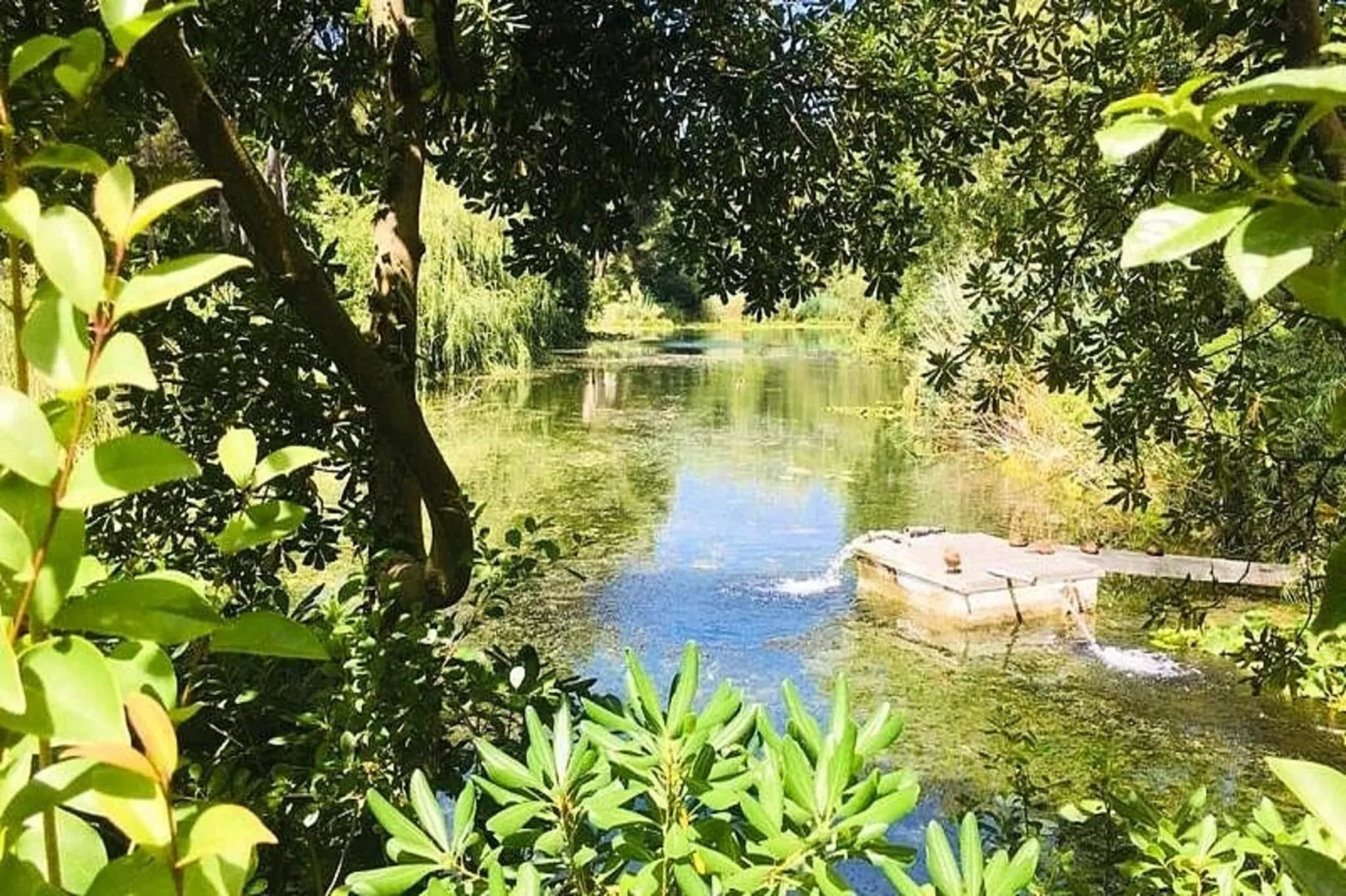 Résidence Cap Vert-Uitzicht zomer