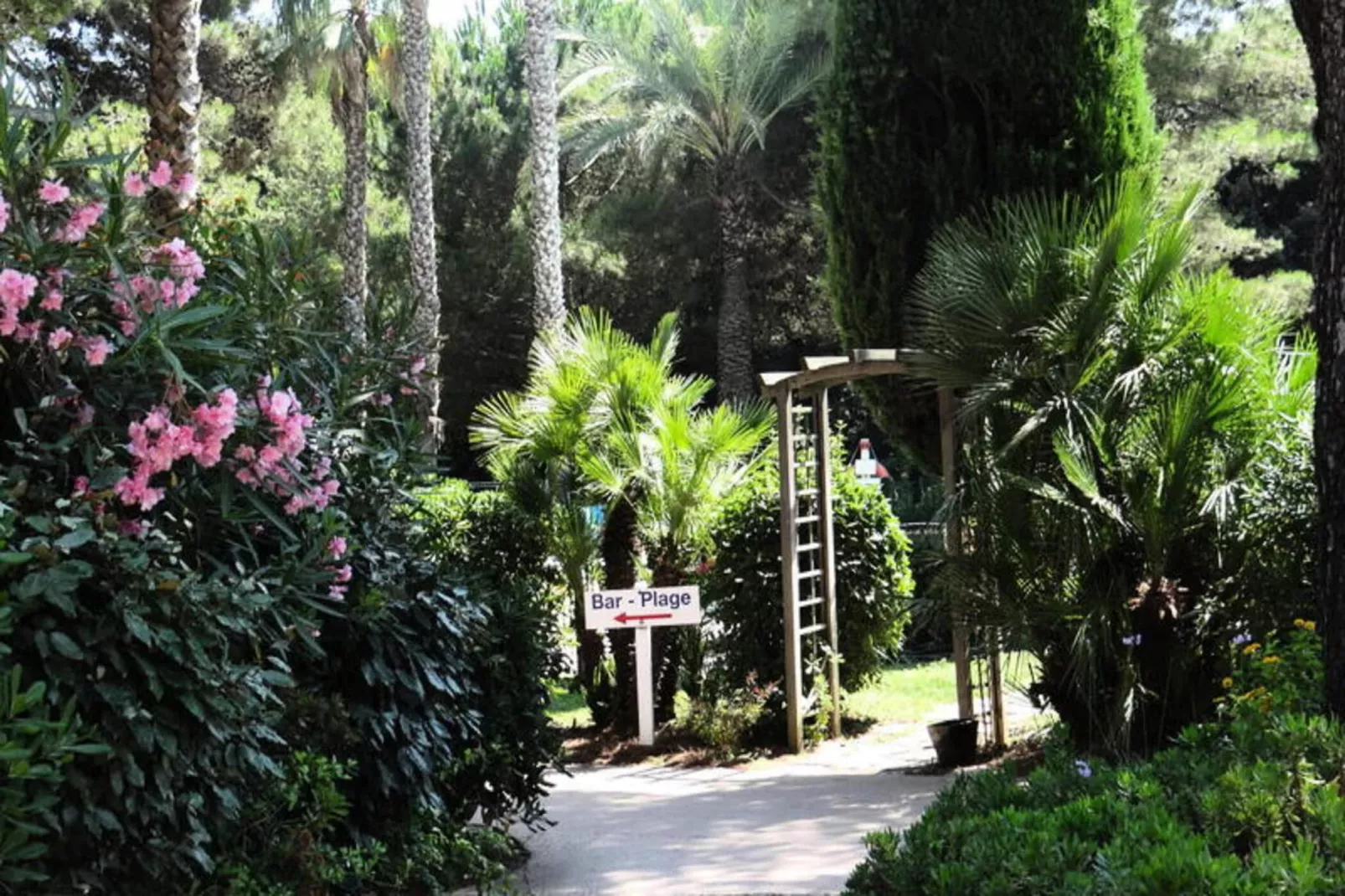 Résidence La Pinède - maeva Home-Buitenkant zomer