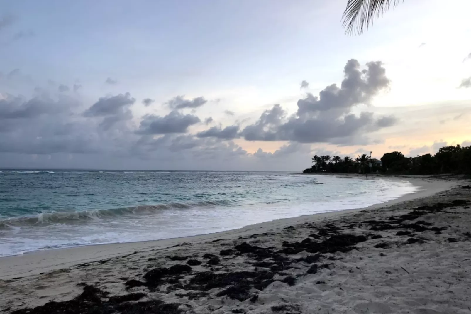 Bungalow Palm-Gebieden zomer 5km