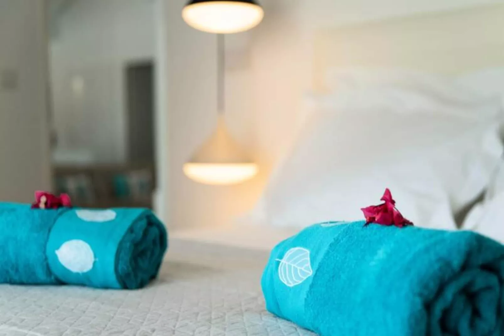 Villa Rosa-Image-tags.