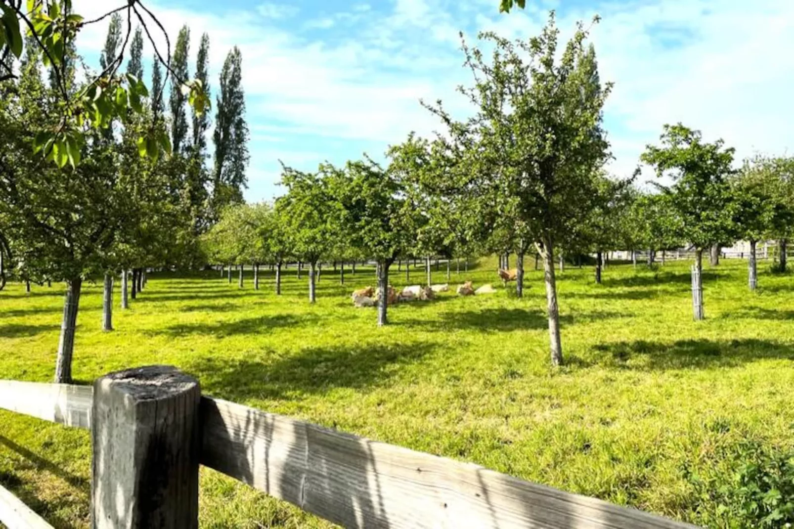 🍎 La Bergeronnette - Domaine D'apreval - Campagne-Image-tags.