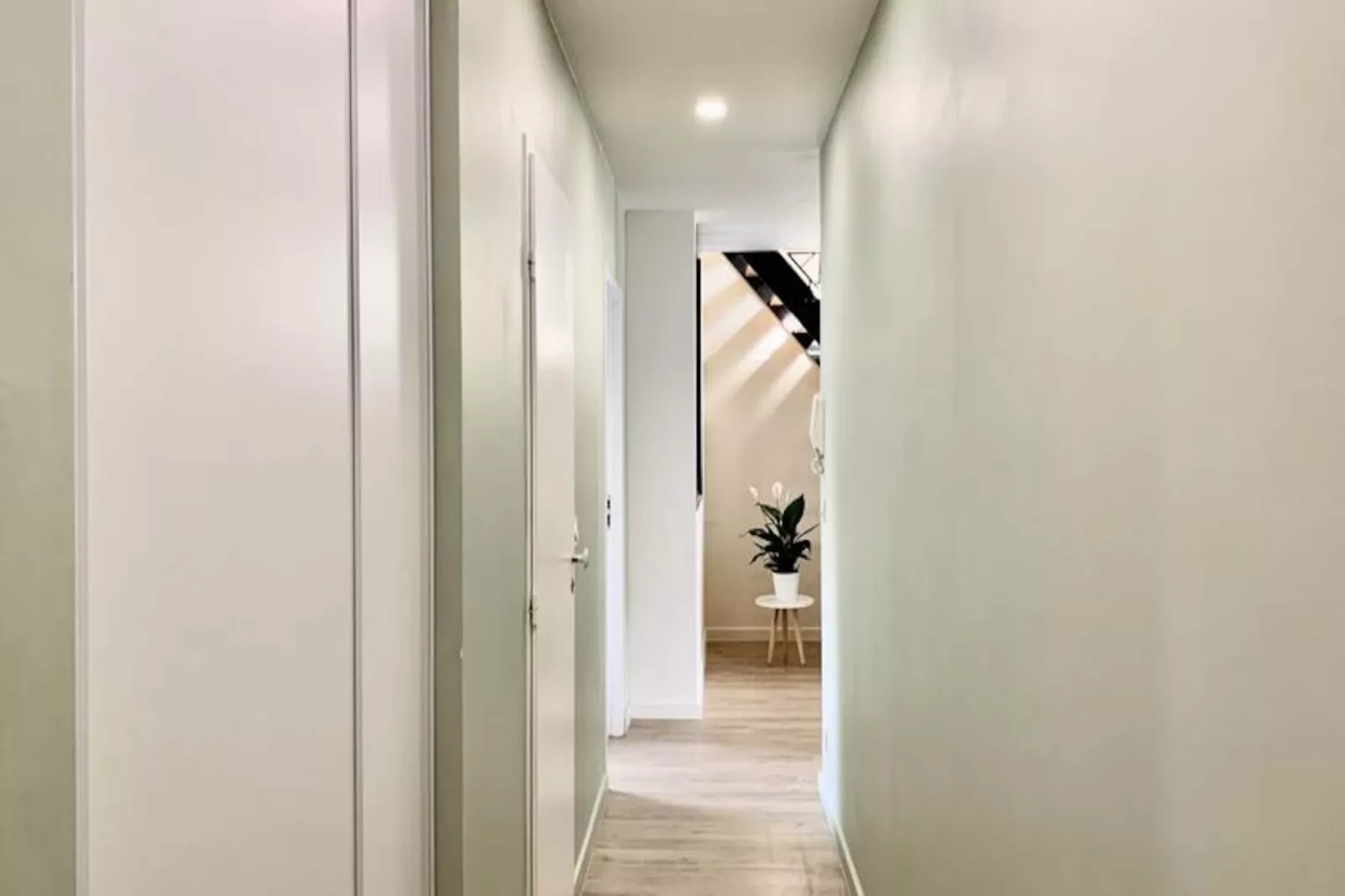 | La Perle🧿| Hypercentre| R&eacute;nov&eacute;-Image-tags.