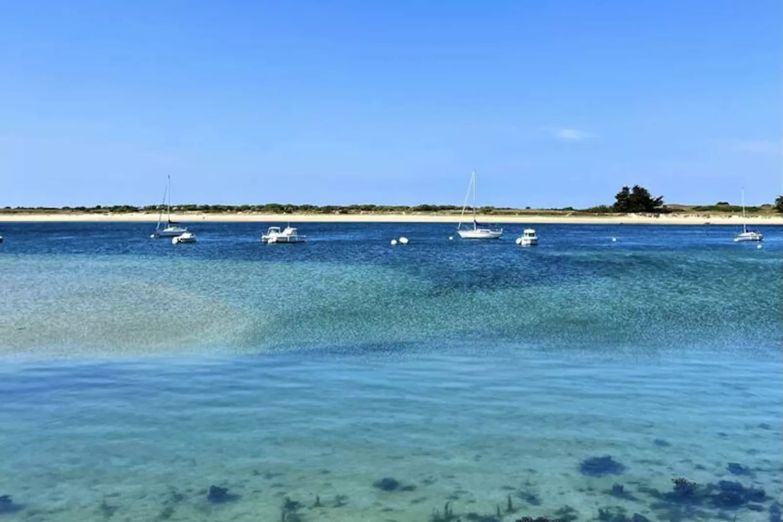 Résidence Les Terrasses Du Port-Image-tags.