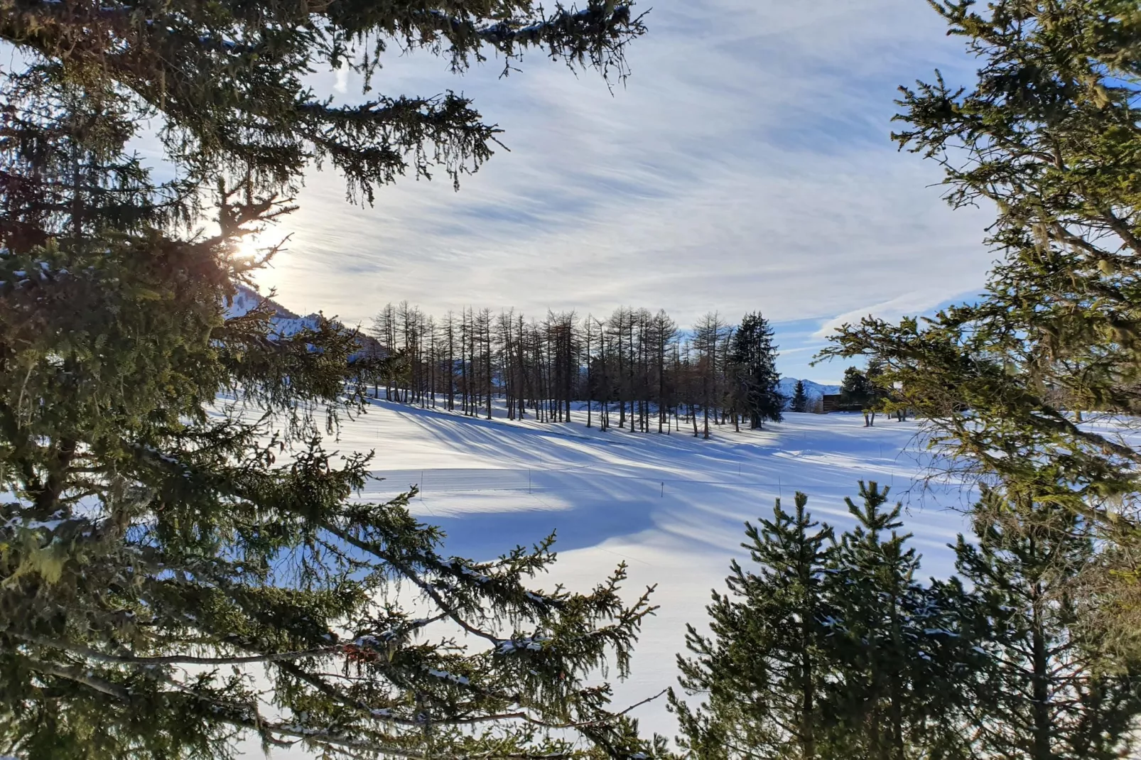 Résidence Neouvielle-Gebied winter 1km