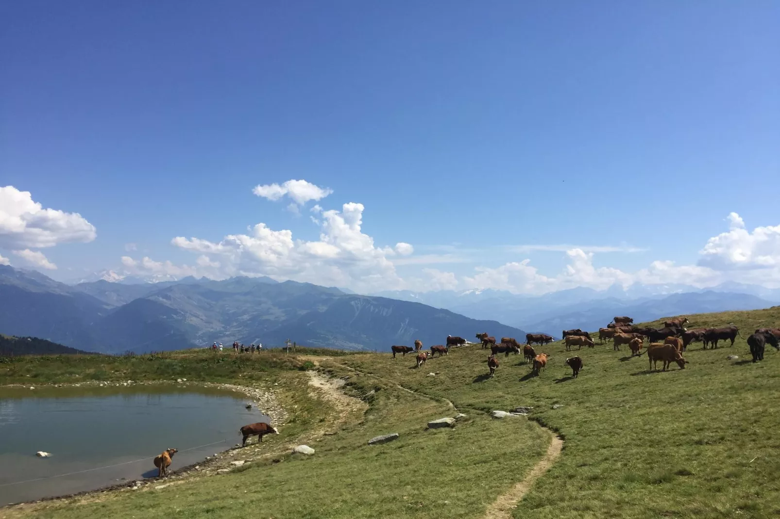 Chalet 3 - SAINT-FRANÇOIS-LONGCHAMP-Gebieden zomer 5km