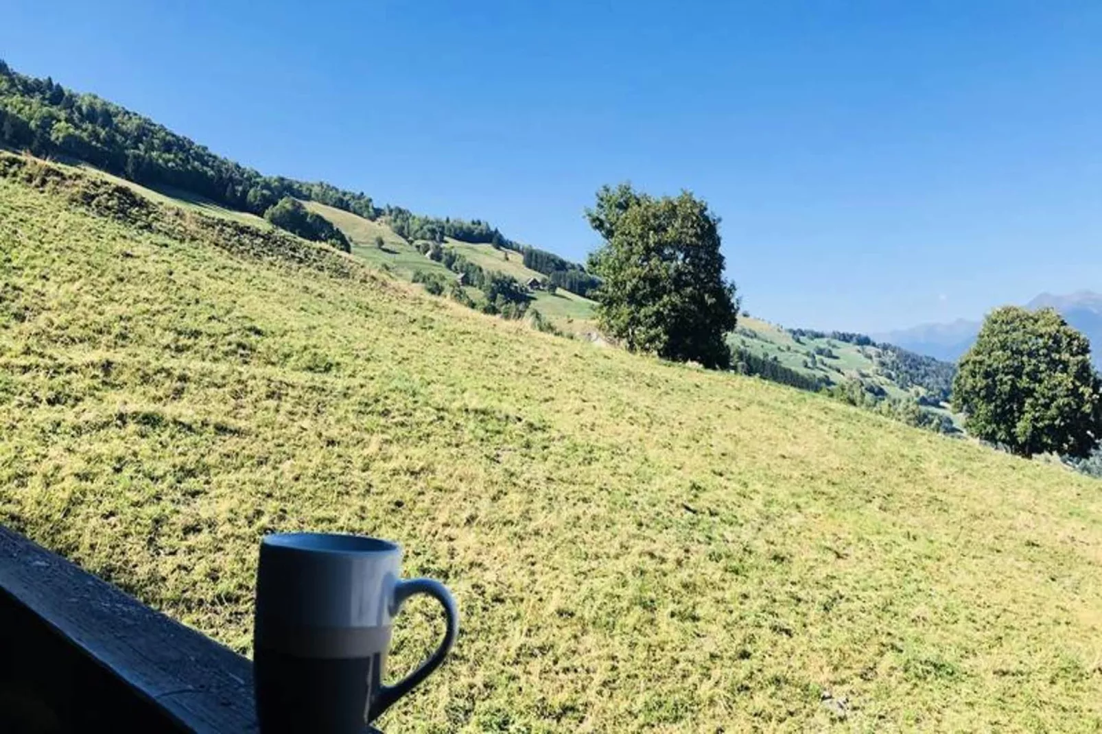 Résidence Camarine-Uitzicht zomer
