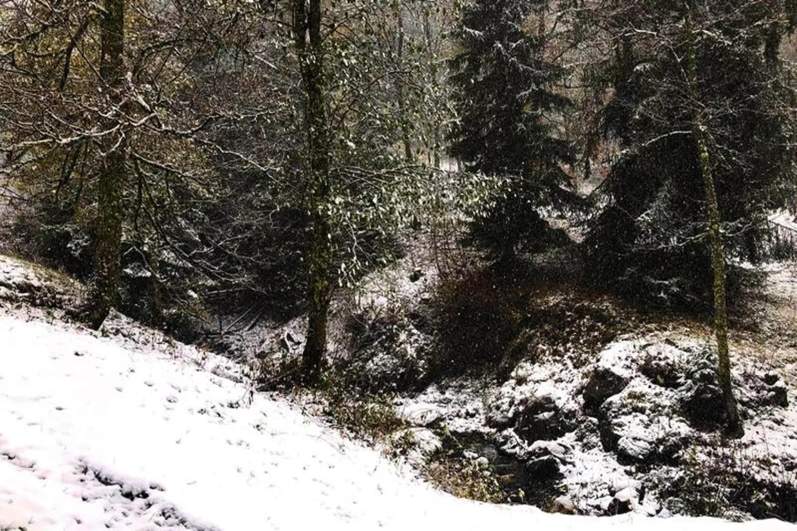 Résidence Sapiniere-Gebied winter 1km