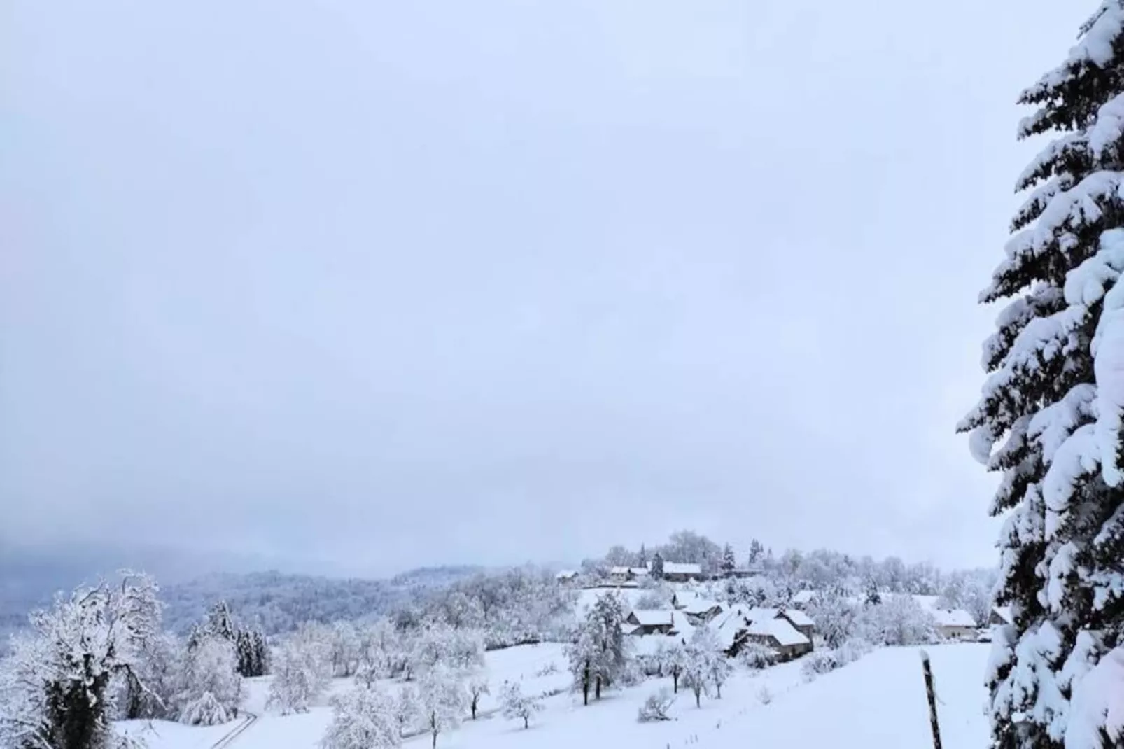 Confortable Chalet - Vue Sur Le Lac D&rsquo;aiguebelette-Image-tags.