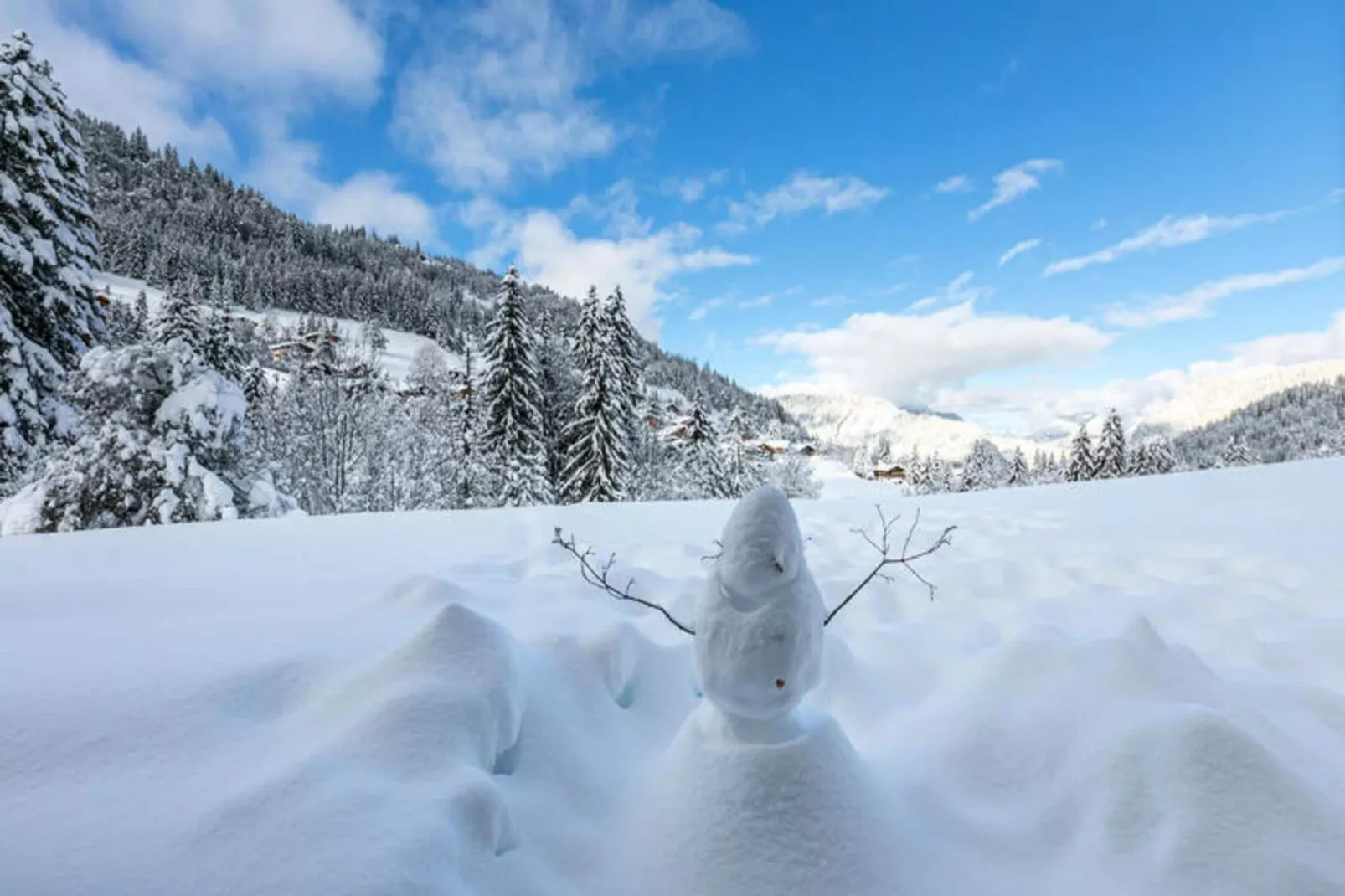 Résidence Le Bois Gentil-Uitzicht winter