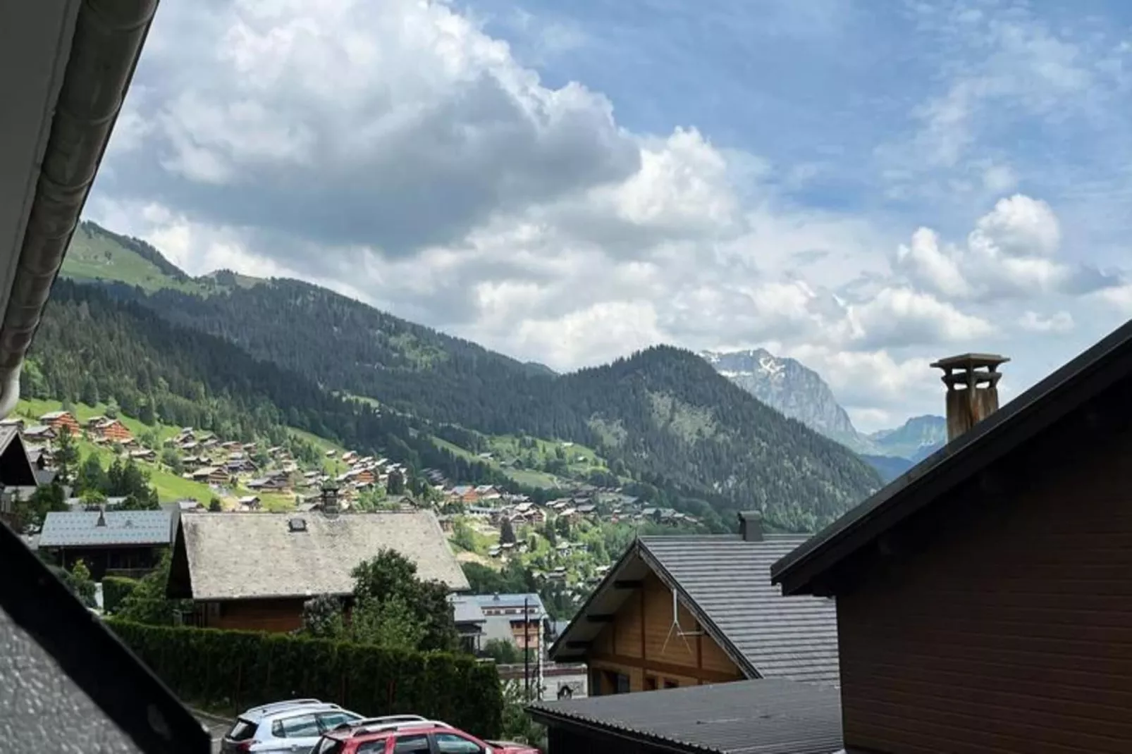 Résidence Les Rhododendrons-Uitzicht zomer