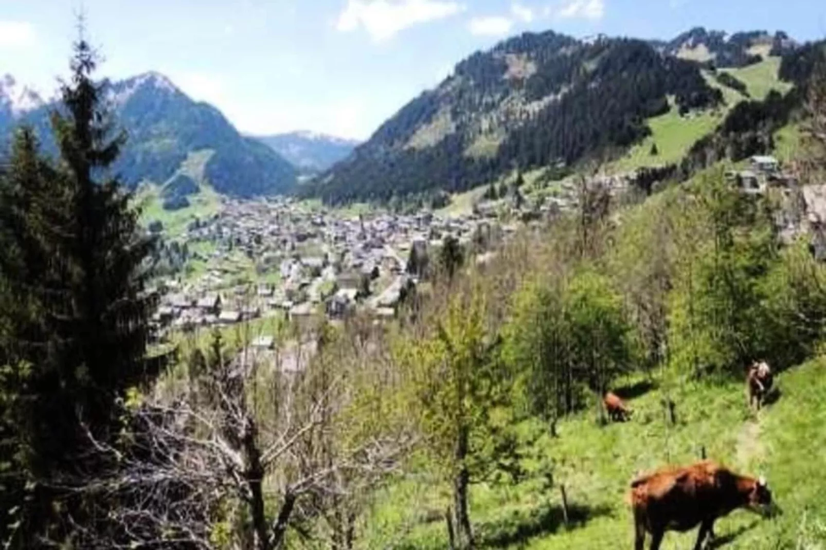 Chalets De Barbessine-Uitzicht zomer