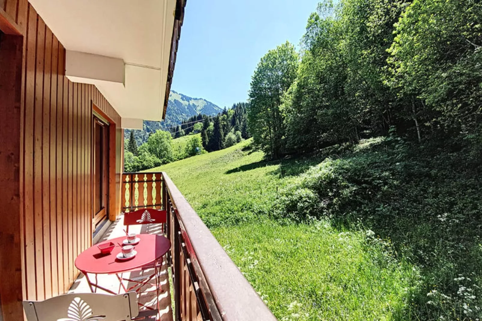 Appartements à Saint Jean d'Aulps-Terrasbalkon