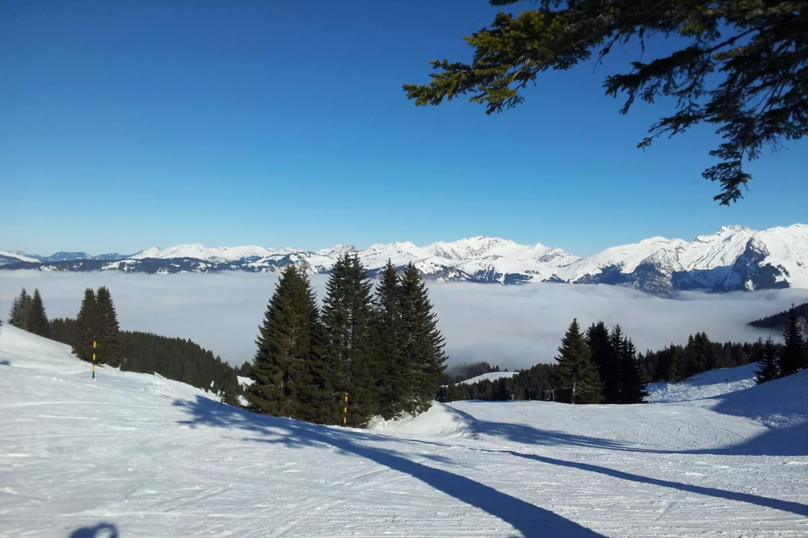 Résidence Criou Ii-Buitenkant zomer