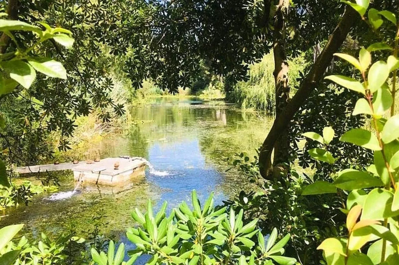 Résidence Cap Vert-Uitzicht zomer