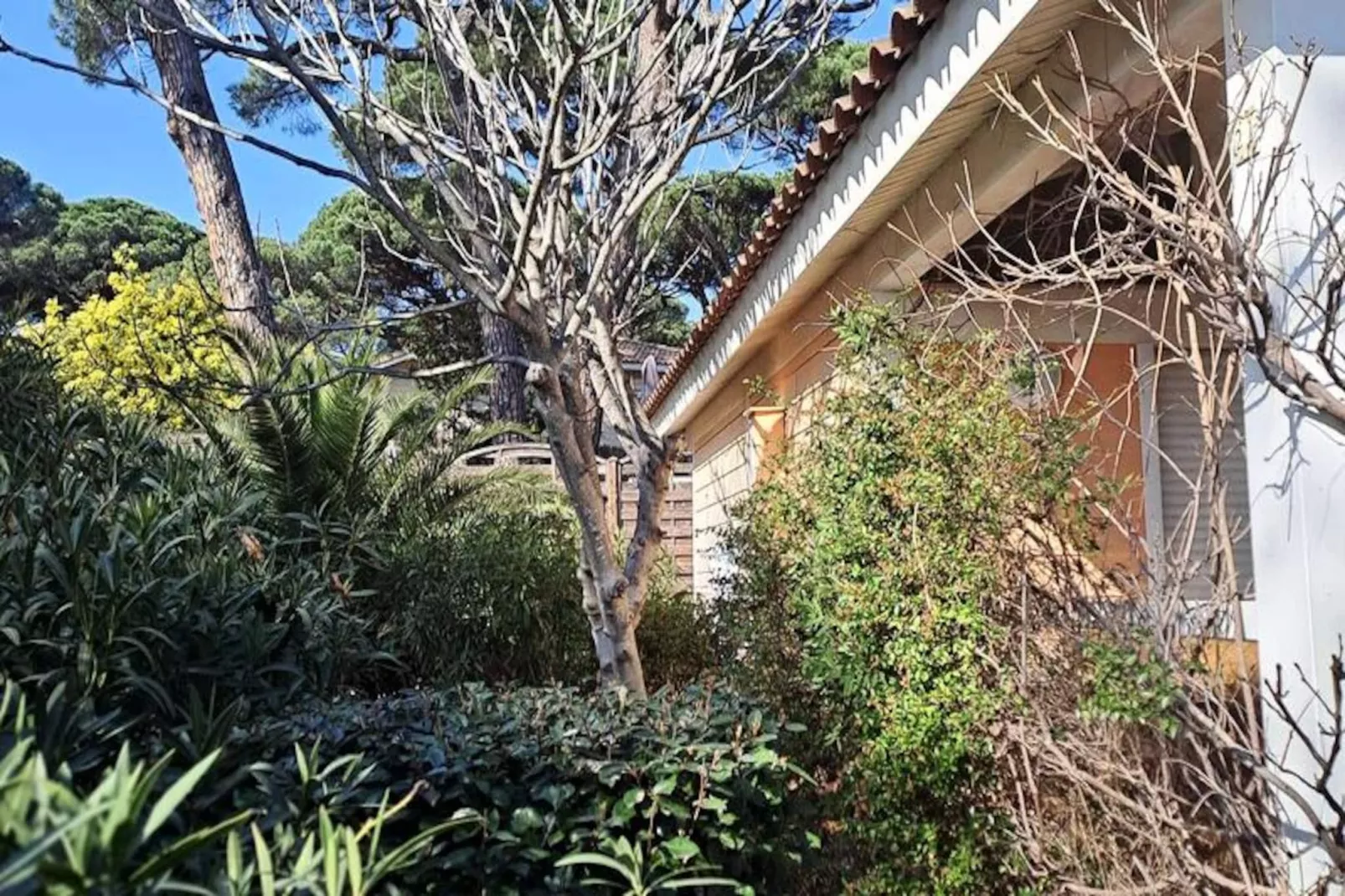 Résidence Parc Oasis-Image-tags.