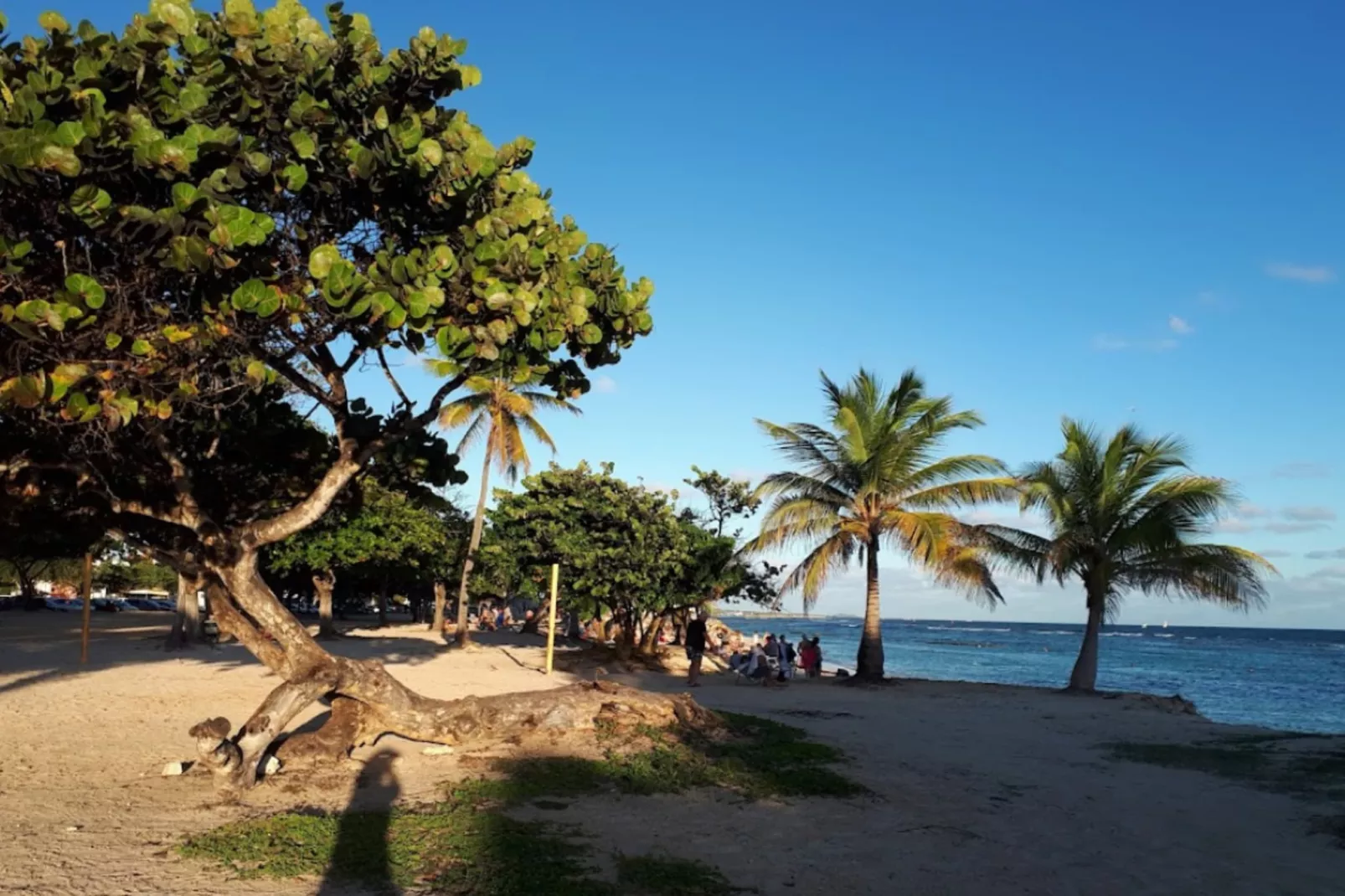 Bungalow Palm-Gebieden zomer 5km
