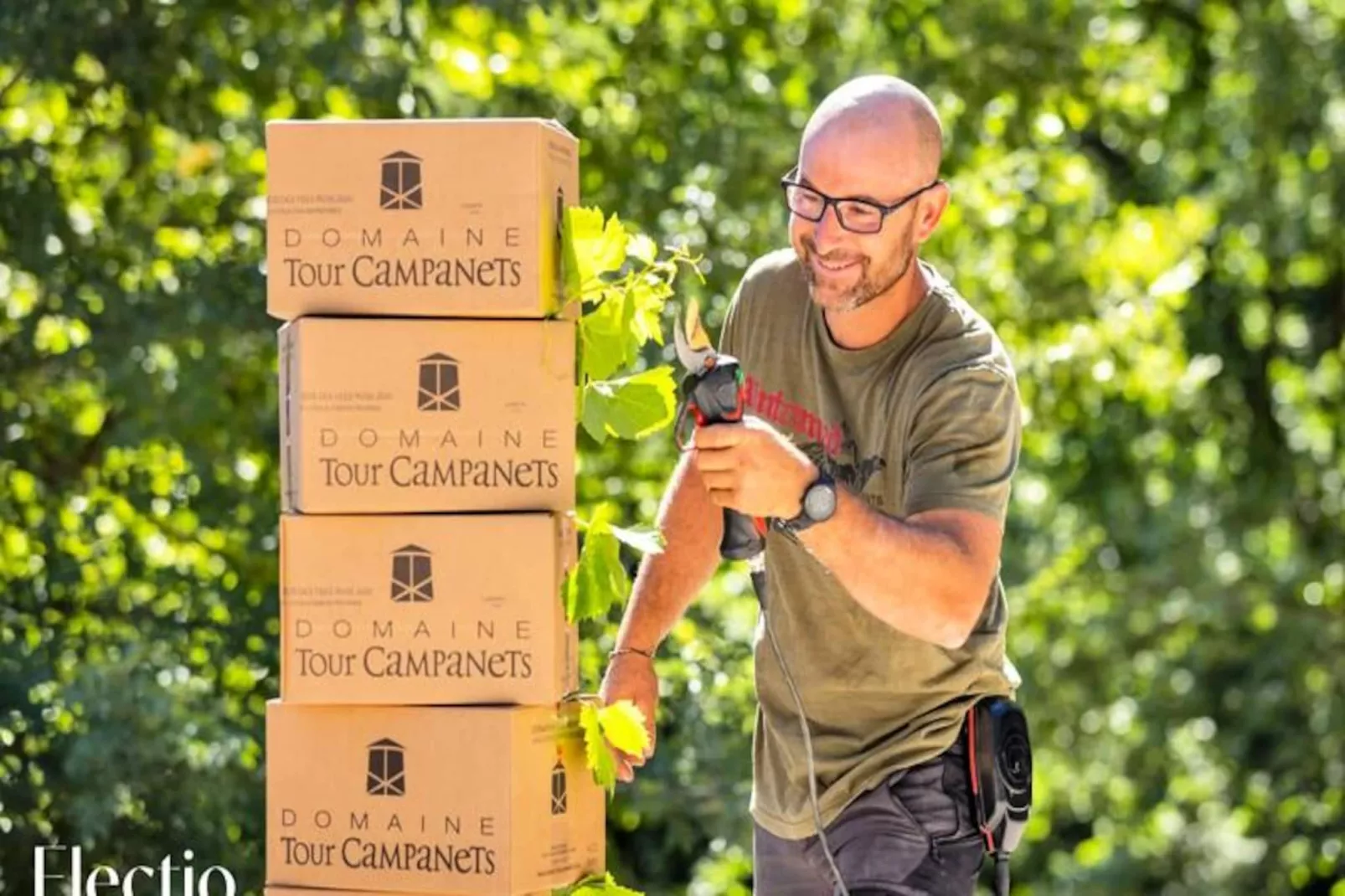 Petite Bastide | Domaine Tour Campanets-Image-tags.