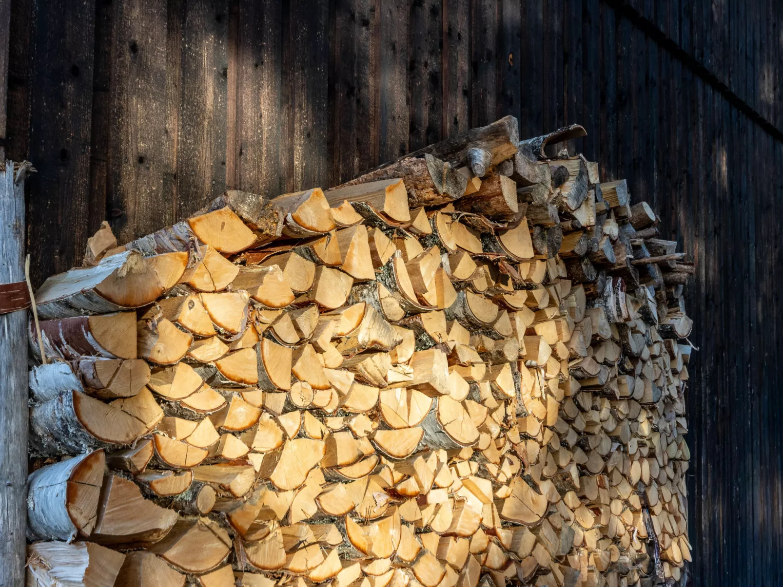 Fjällnästet-Binnen