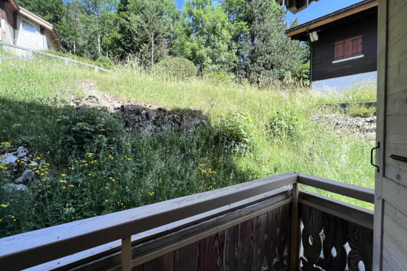 Appartements à La Clusaz-Terrasbalkon