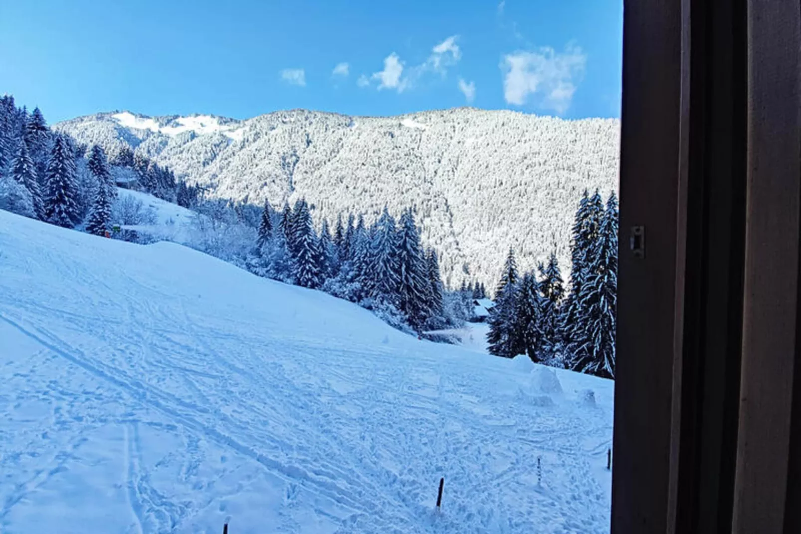 Appartements à Saint Jean d'Aulps-Uitzicht winter