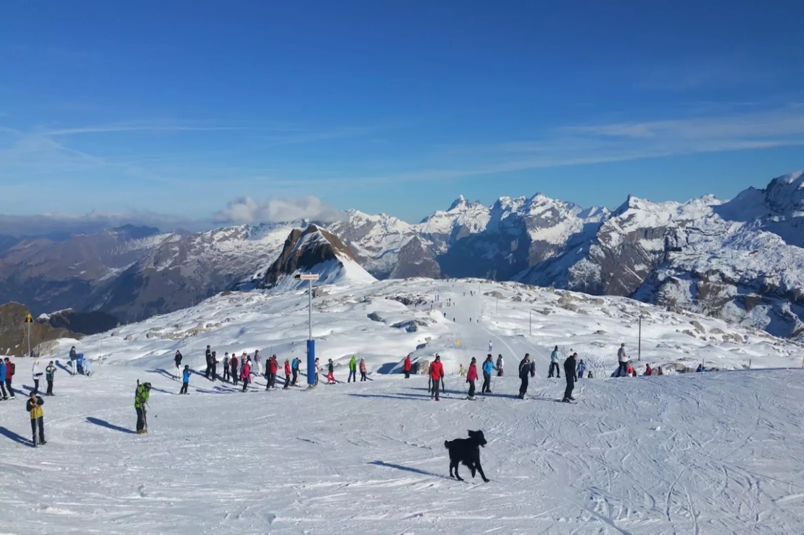 Résidence Le Laquis-Gebied winter 5km