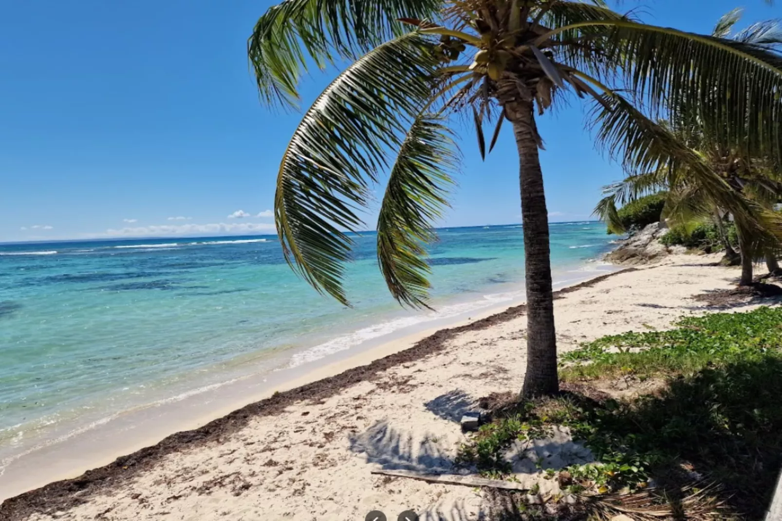 Bungalow Palm-Gebieden zomer 5km
