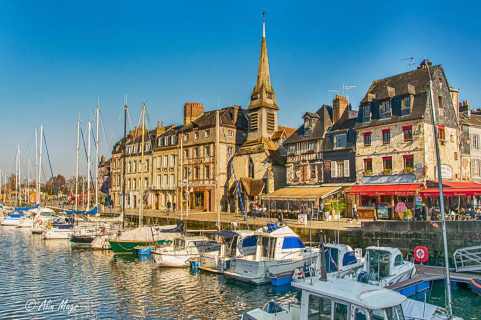 🍎 La Bergeronnette - Domaine D'apreval - Campagne-Image-tags.