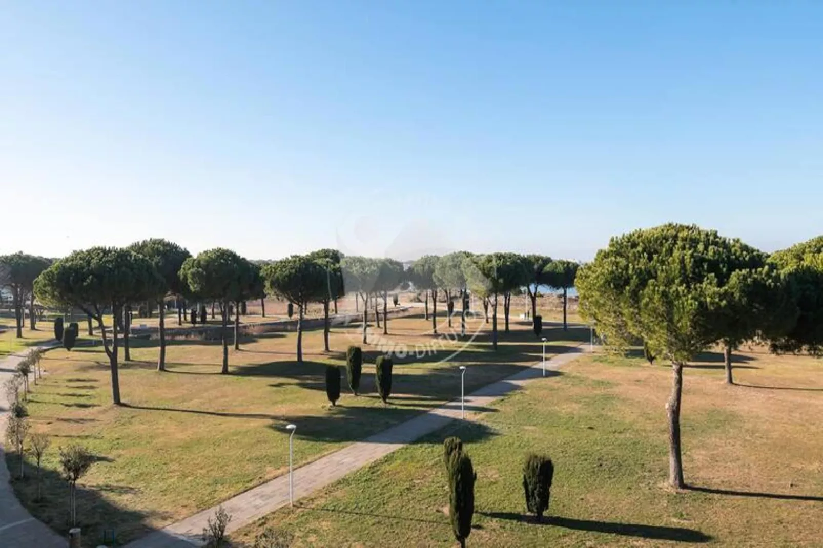 Résidence "le Mireille"-Tuinen zomer