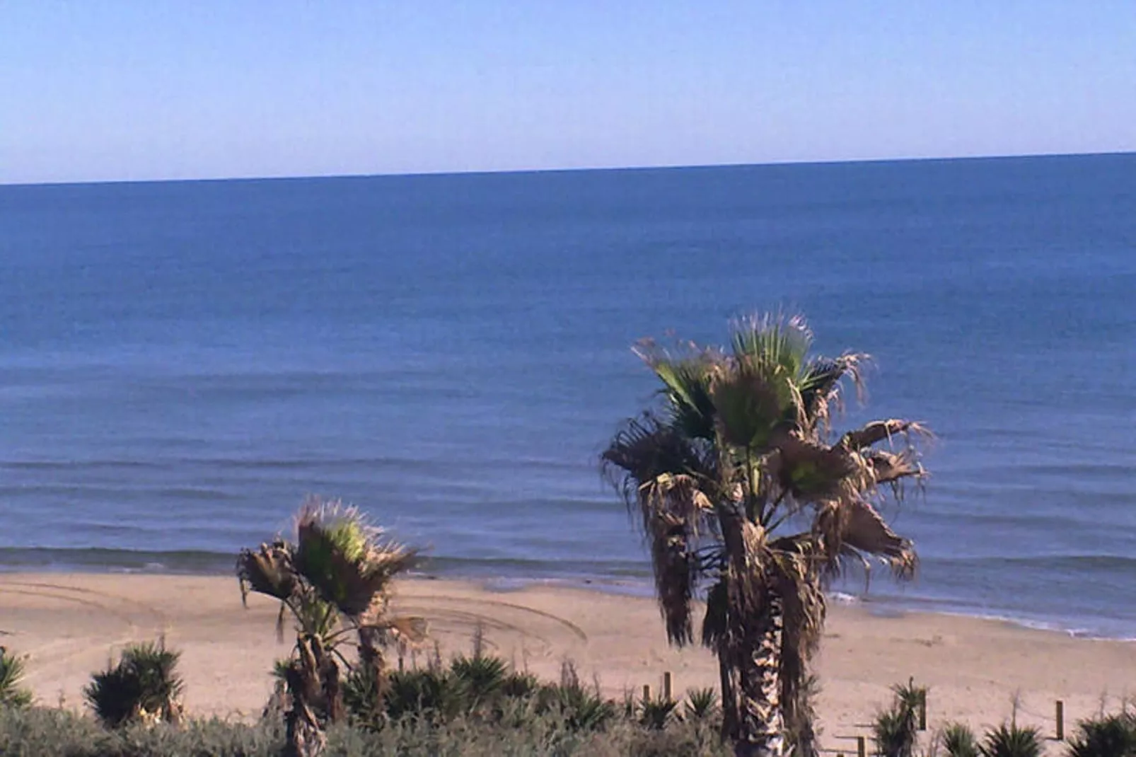 Résidence NATURISTE LA PALMERAIE-Gebieden zomer 1km