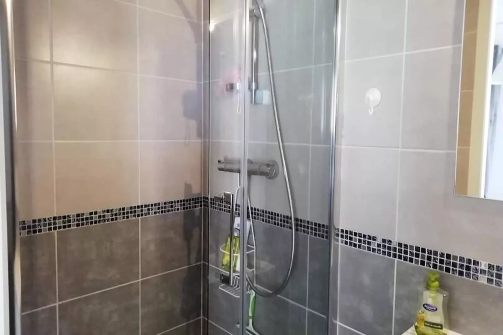 Résidence Le Chateau Durieux 1-Badkamer