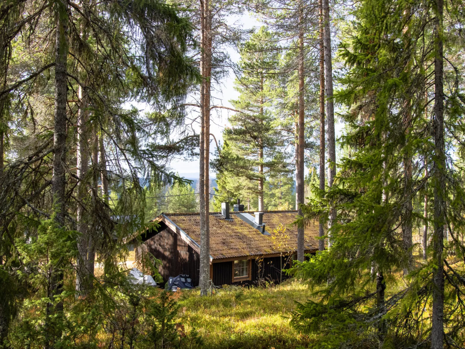 Fjällnästet-Buiten