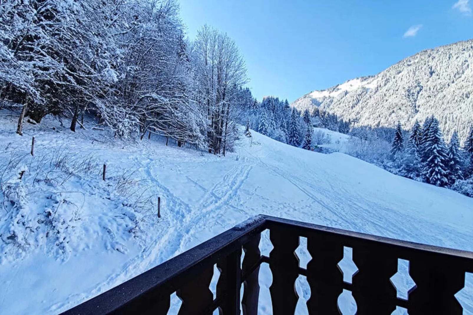 Appartements à Saint Jean d'Aulps-Uitzicht winter