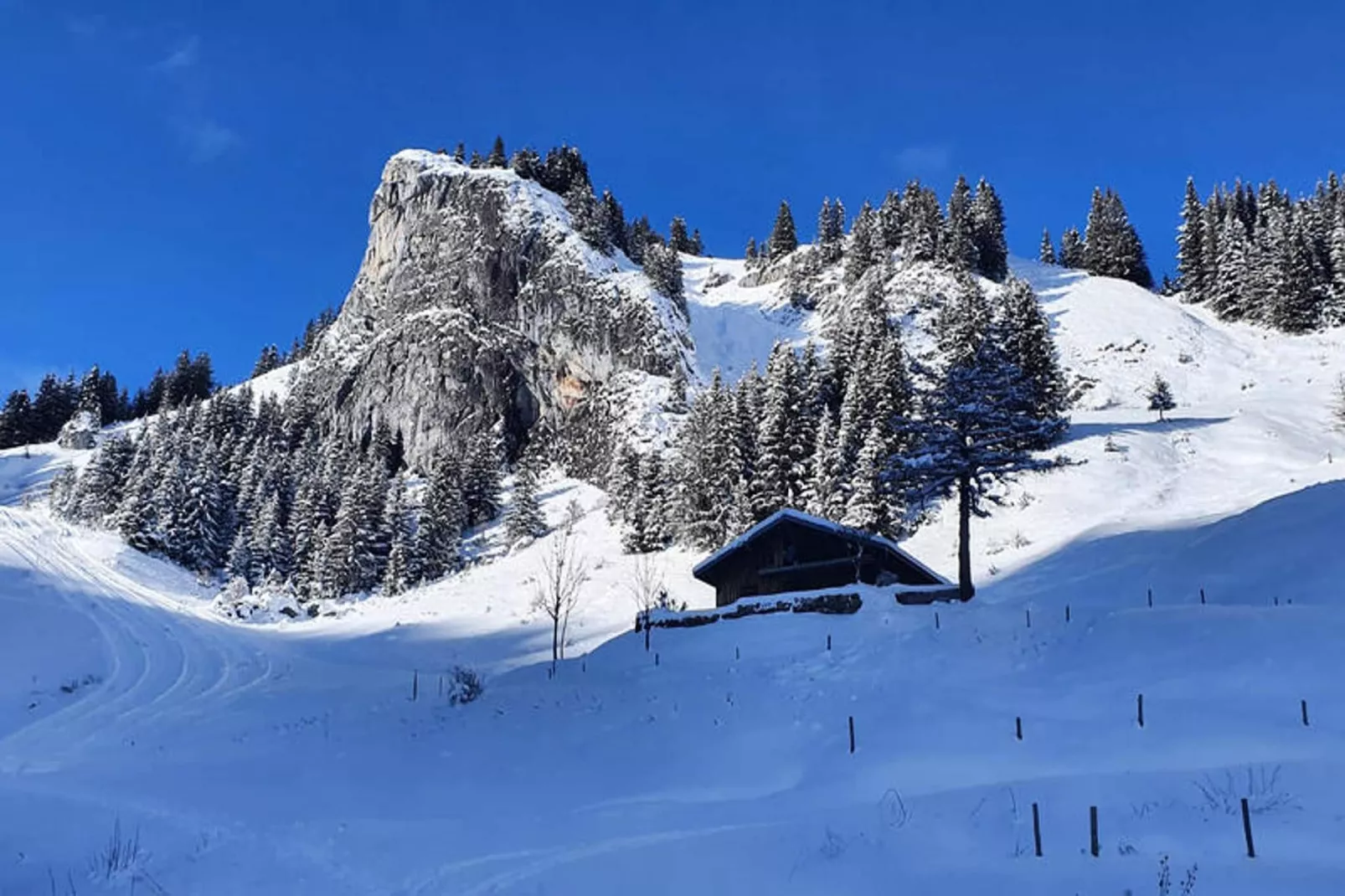 Appartements à Saint Jean d'Aulps-Gebied winter 1km
