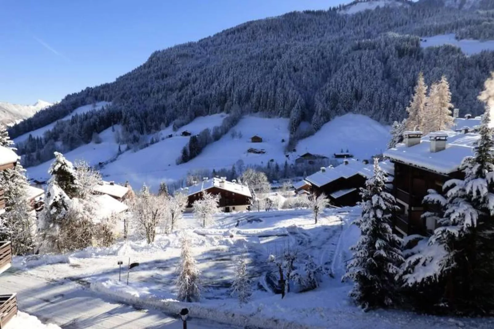 Résidence Millepertuis B-Uitzicht winter