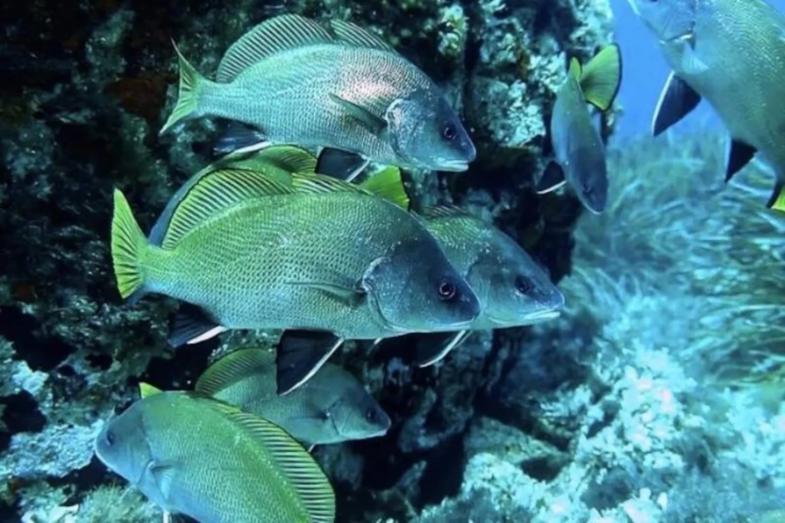 Résidence La Salamandre-Image-tags.