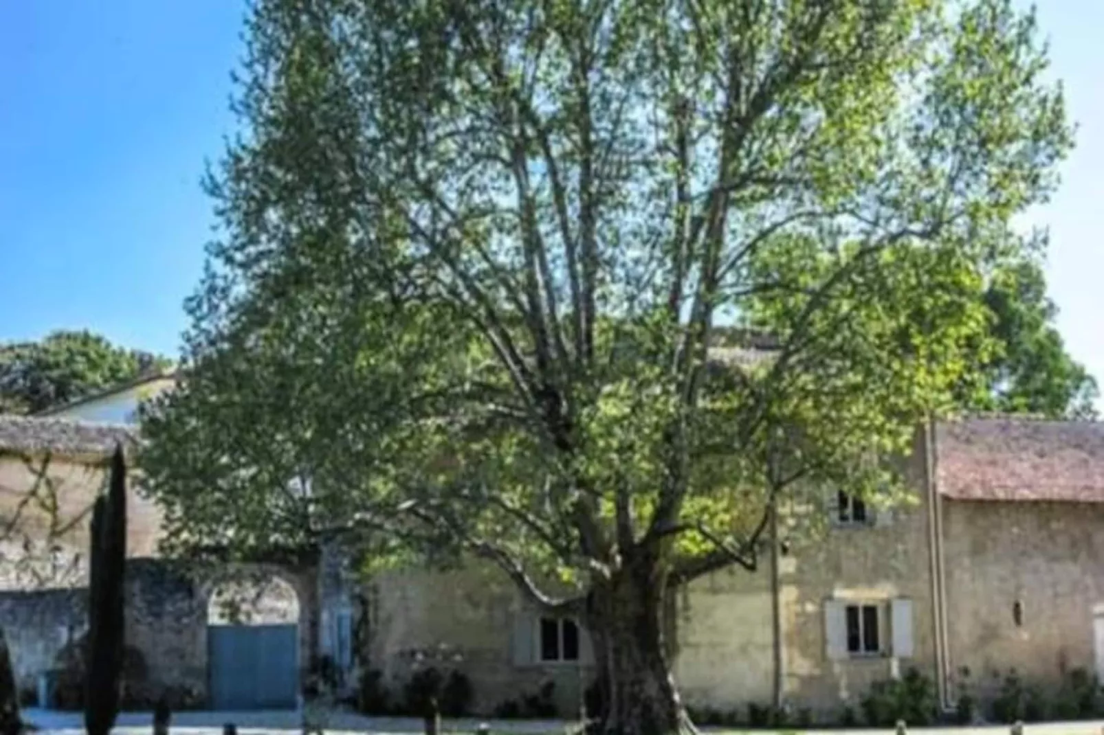 Superbe Mas Provencal Avec Piscine Chauff&eacute;e-Image-tags.