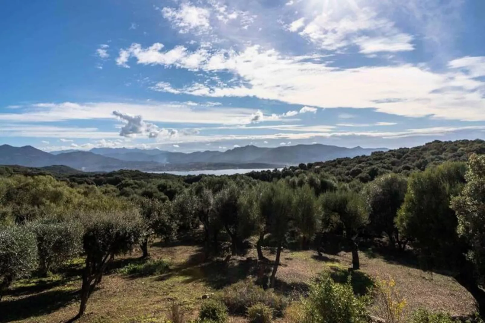 Résidence Hsain001-olmeto-Image-tags.