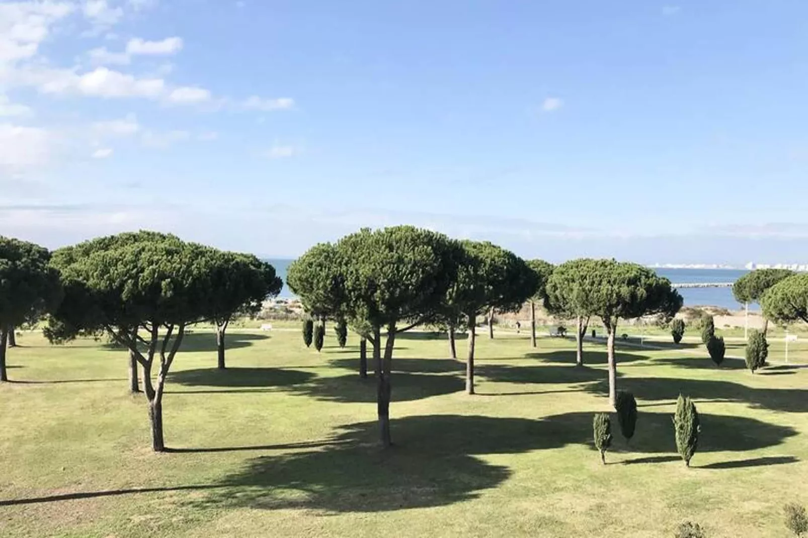 Résidence "le Mireille"-Tuinen zomer