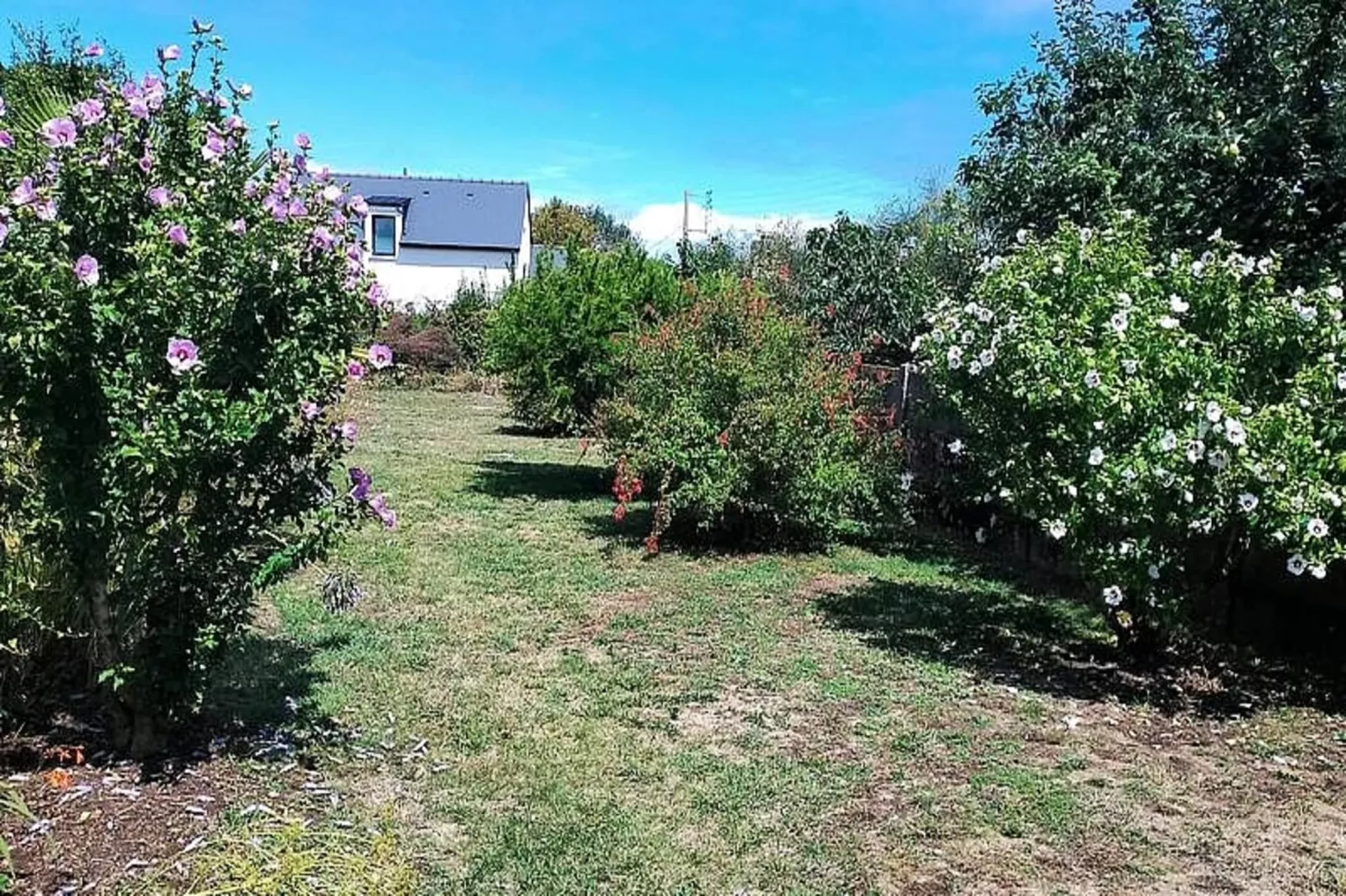 Résidence Liz-sarzeau-Tuinen zomer