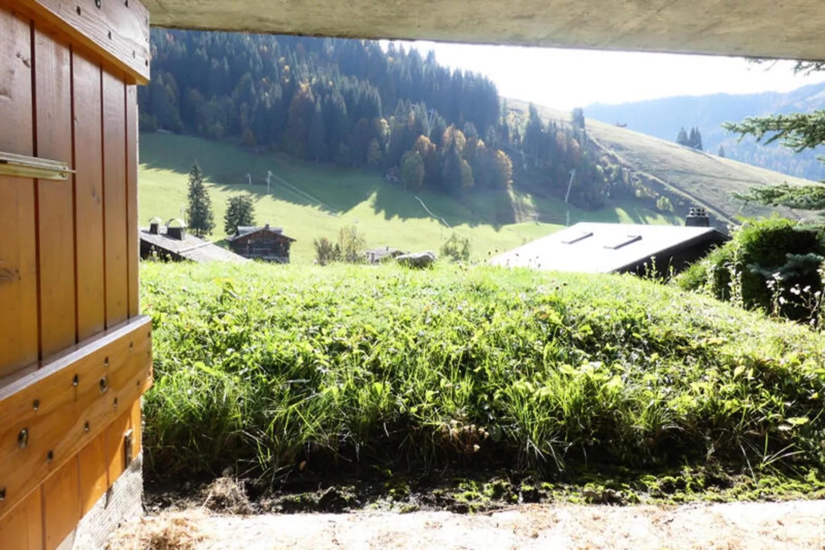 Chalets à La Clusaz-Gebieden zomer 1km